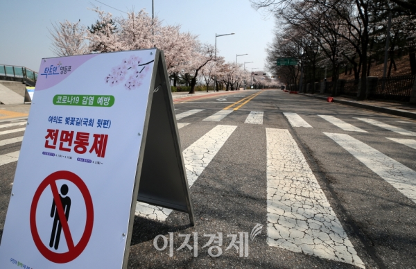 서울 영등포구 윤중로 벚꽃길에는 지난 1일부터 차량 및 보행자 통행을 금지하는 안내판이 놓여 있다. 사진=문병희 기자