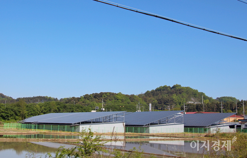 전북 군산시 나포면 한 축산 농가가 가축 우리 지붕에 태양광 발저을 위한 패널을 설치했다. 사진=정수남 기자