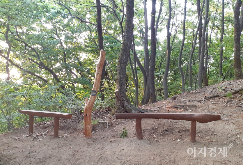성남시가 등산로에 나무 의자와 배낭 걸이를 설치 다. 이들 설치물의 재료는 이곳 숲에서 고사한 나무를 이용했다. 종전 콘크리트 시설물을 대체한 친환경인 셈이다. 사진=이승렬 기자