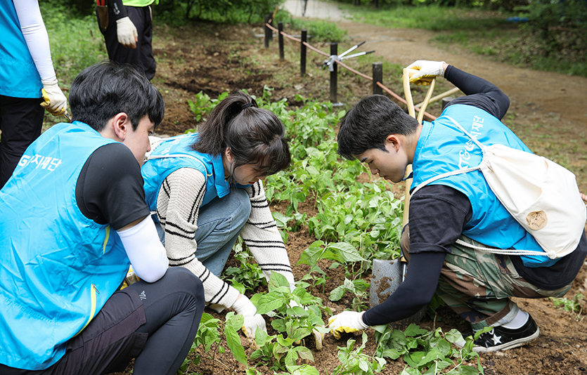 KT&G복지재단이 진행한 북한산 생태복원을 위한 나무 식재 봉사활동에 참여한 대학생 자원봉사자와 임직원 봉사단. 사진=KT&G