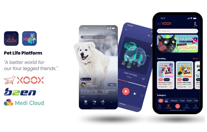 XOOX랩이 출시한 반려동물 전용 ‘XOOX’ 앱 화면. 사진=XOOX랩