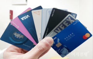 카드 수수료율 개선안, 2년간 답보…카드업계 '한숨'