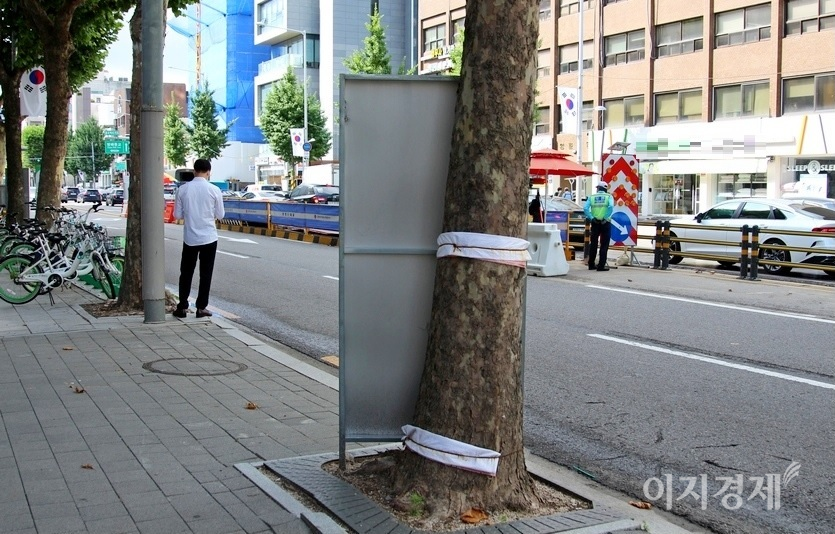 아울러 지역난방공사가 서울 서초구 방배로에서 지역 난방을 위한 공사(도로 중앙)를 진행한다. 공사 안내판을 플라타너스 가로수에 굵은 철사로 동여맸다. 여름은 나무의 성장이 급격하게 이뤄지고, 나무도 고통을 느낀다. 사진=정수남 기자