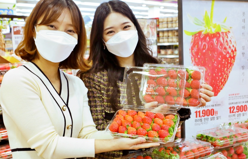 롯데마트 서울 중구 서울역점에서 직원들이 ‘무라벨 한판 설향 딸기’를 알리고 있다. 사진= 롯데마트