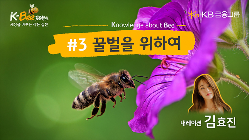 KB금융그룹이 제작한 ‘꿀벌을 위하여’ 영상 썸네일. 사진=KB금융그룹