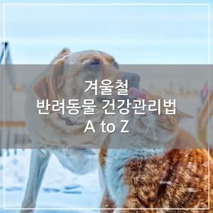 [카드뉴스] 겨울철 반려동물 건강관리법 A to Z