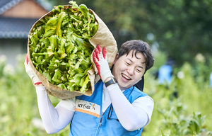 농가와 17년째 상생 실천…KT&G, 잎담배 수확 봉사활동